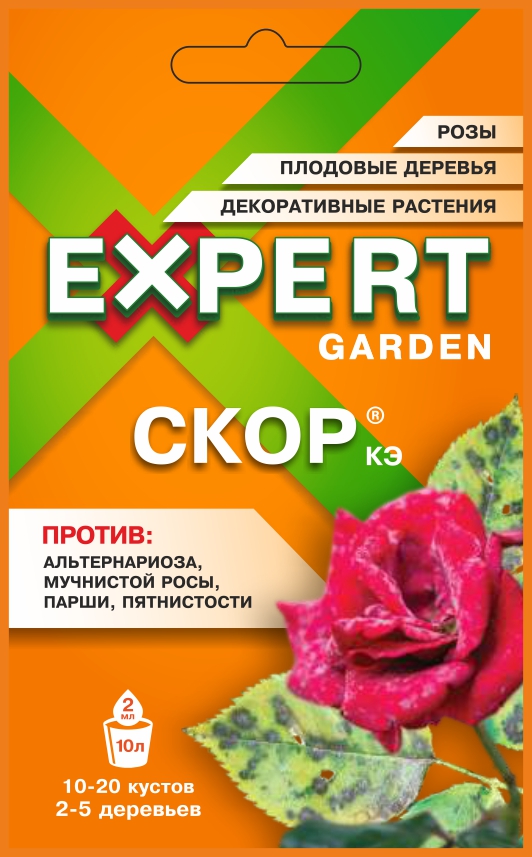 Скор, КЭ